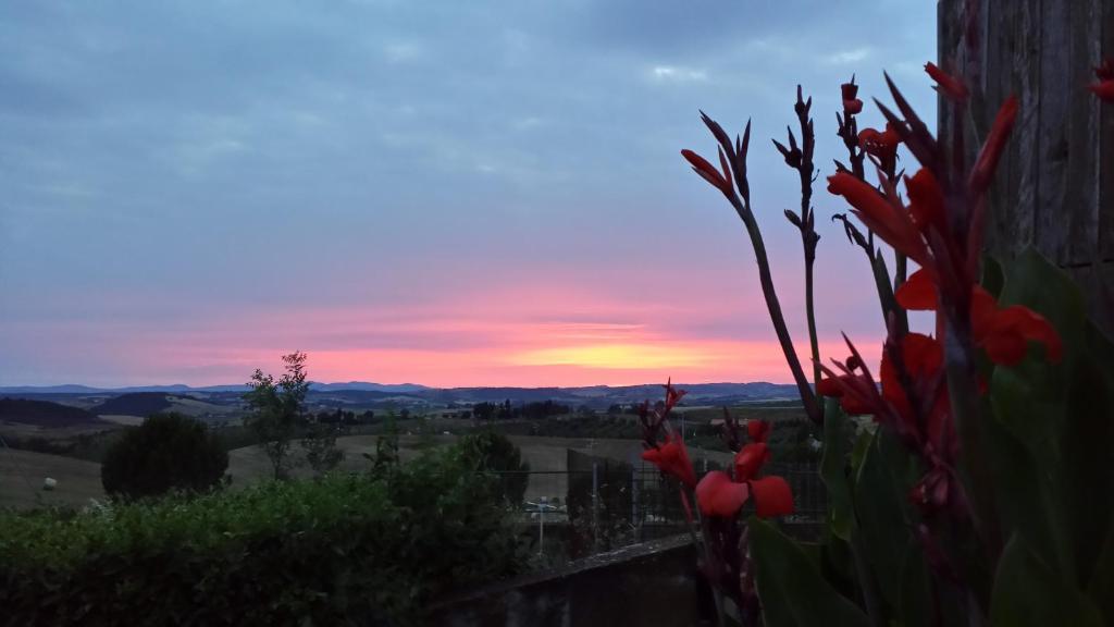 מנצ'יאנו Agriturismo Marruchetone Vecchio מראה חיצוני תמונה